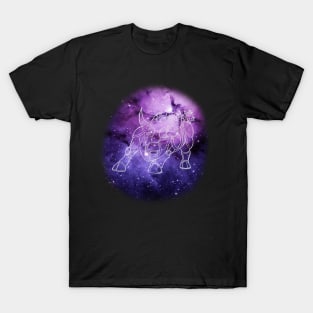 Taurus Zodiac Armour Sign T-Shirt